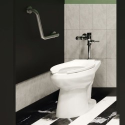 FLUXOMETRO HELVEX WC MANIJA 38 6L CR
