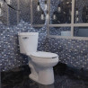 WC AUSTRAL P HELVEX